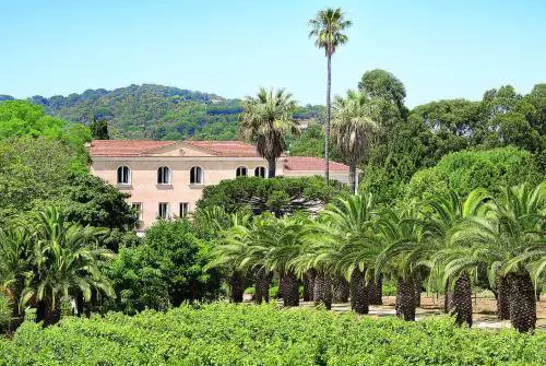 Macchia mediterranea con vista: Saint-Tropez e la sua dolce vita