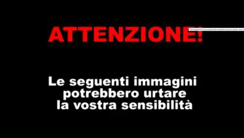 Picchiata dall'ex fidanzato, mette le foto su twitter