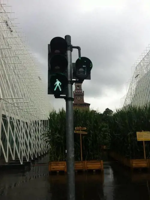 Cina, vita dura per i pedoni che attraversano con il rosso