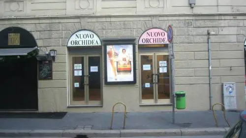 Il cinema Orchidea torna a «sbocciare»