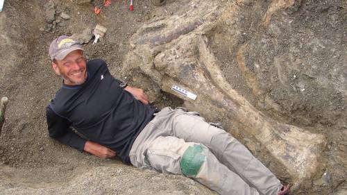Scoperti in Argentina i resti del dinosauro da record
