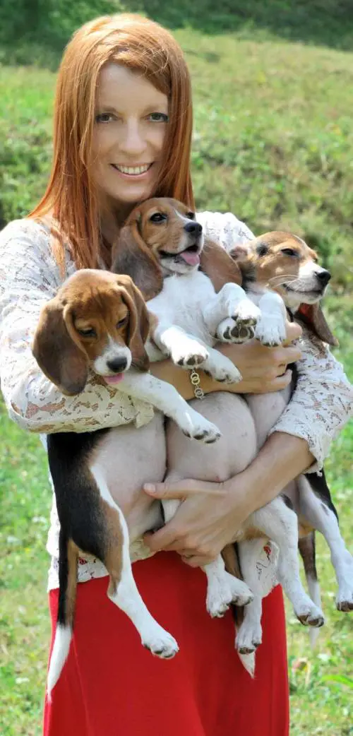 "Vietato vietare la libertà ai cani"