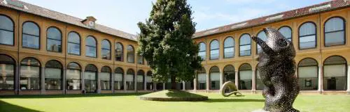 Homi in città: iniziative con 5Vie e Brand Magenta