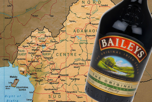 Camerun, condannato per omosessualità: "Beveva il Bailey's"