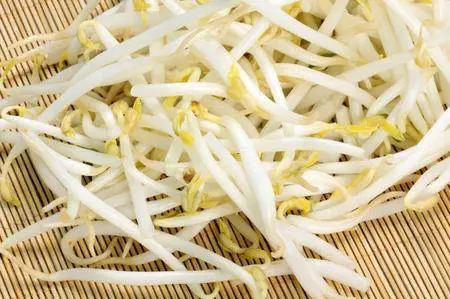 Genova, malore per una coppia che ha mangiato germogli di soia