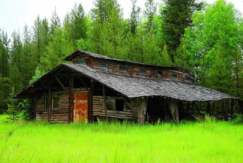 Montana, il paradiso degli orsi negli Stati Uniti più selvaggi