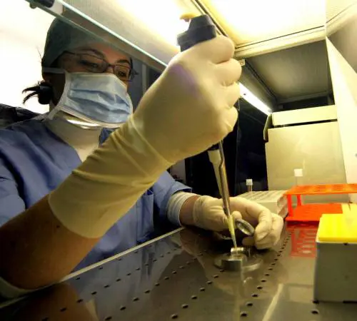 Nuova frontiera della fecondazione: ovociti e spermatozooi dalla pelle