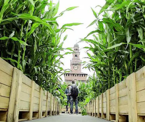 Patto con l'opposizione, Pisapia ci sta