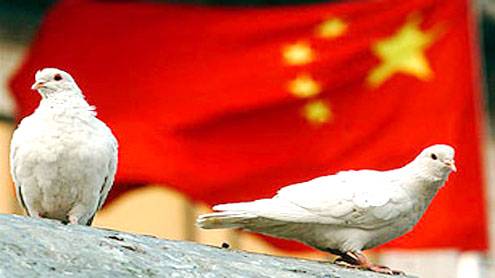 Sicurezza, ultima follia cinese: l'ispezione anale per i piccioni