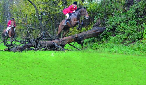 Via alla caccia a cavallo (ma la volpe non c'è più)