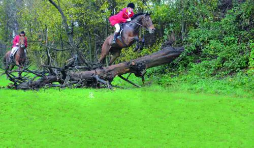 Via alla caccia a cavallo (ma la volpe non c'è più)