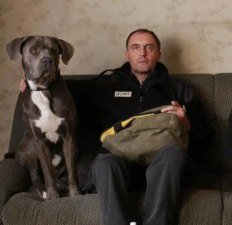 «Piccole crepe» in un condominio un po' folle