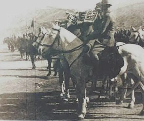 La gloriosa, e dimentica, carica del reggimento Alessandria a Poloj