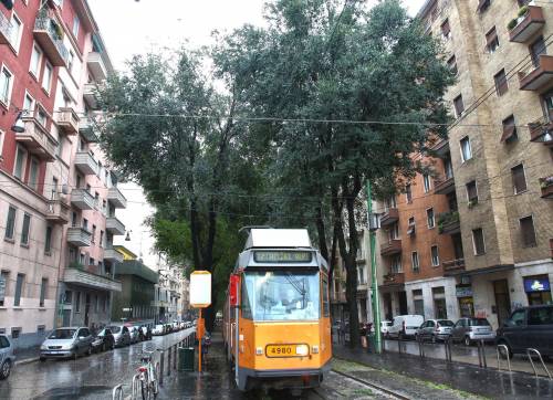 Olmi di MacMahon, si decide a lavori in corso