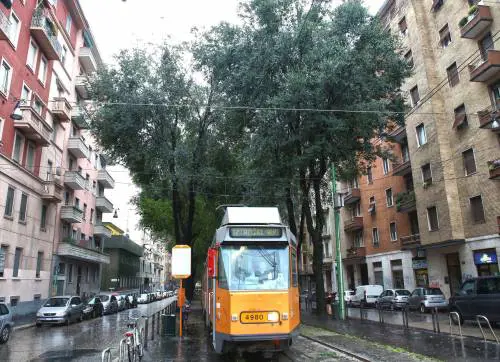 Olmi di MacMahon, si decide a lavori in corso