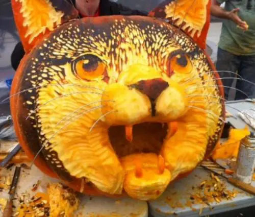 Le zucche di Halloween più originali del mondo