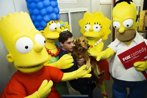 I Simpson in tour... negli stadi italiani