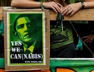Marijuana, aborto e salari: l'altro voto dei referendum