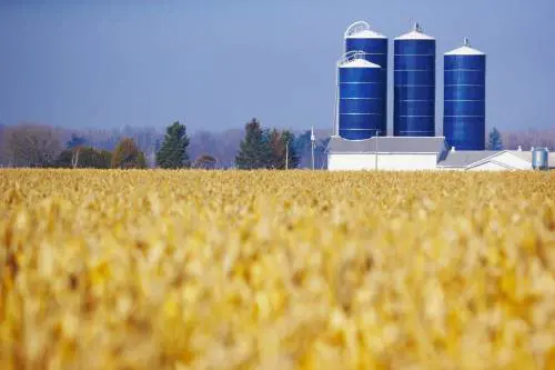 La natura? Non è ambientalista