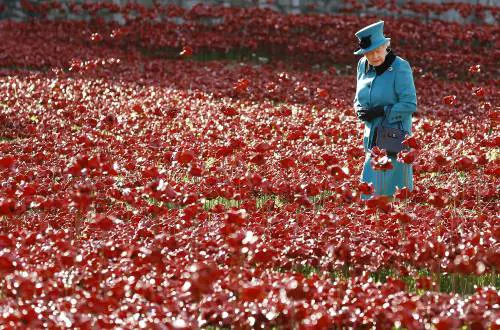Elisabetta II alla Torre di Londra. Un campo di papaveri di ceramica ricorda il centenario della I guerra mondiale
