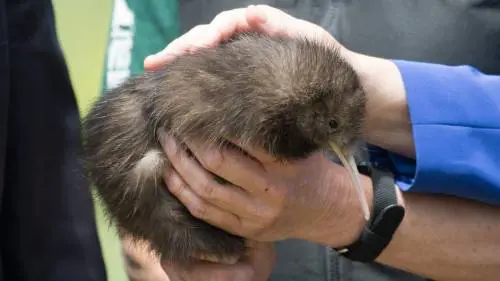 La Merkel (e un kiwi) in Nuova Zelanda