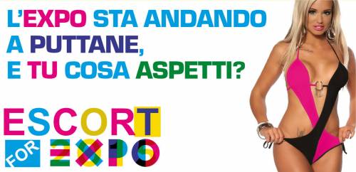 Expo diffida il sito che recluta escort