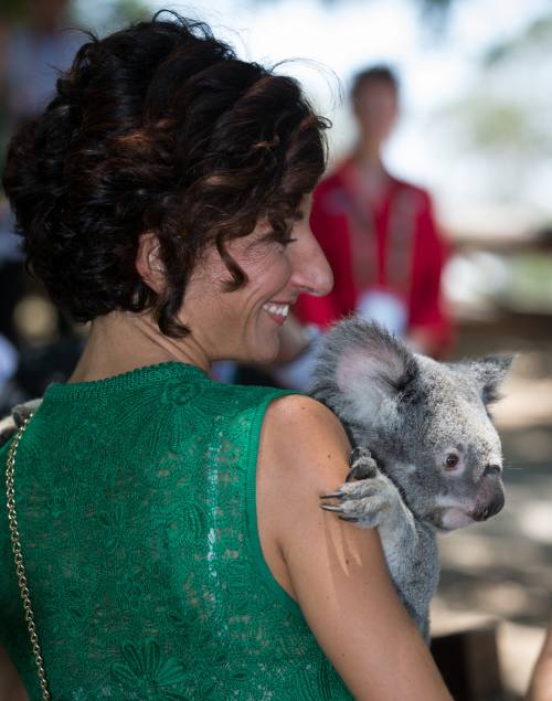 Il G20 di Agnese nel parco dei koala di Brisbane