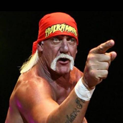 Ora Hulk Hogan replica a Crosetto su Twitter: è mistero social