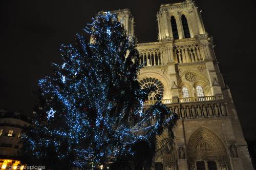 Parigi non ha i soldi per l'albero di Natale Lo pagherà Mosca