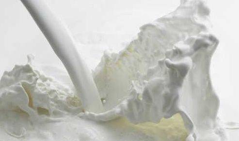 DairyTech, la nuova fiera del latte debutterà con Ipack-Ima 2015