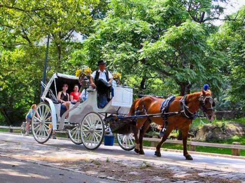 Il sindaco di New York de Blasio: via le carrozze da Central Park