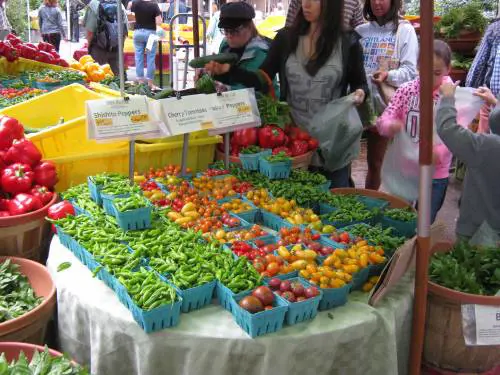 L'industria alimentare italiana alla conquista dell'Expo 2015
