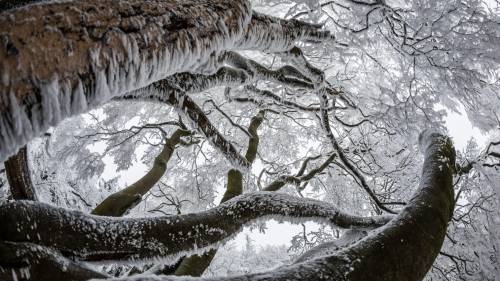 Germania, la neve sul Großer Feldberg