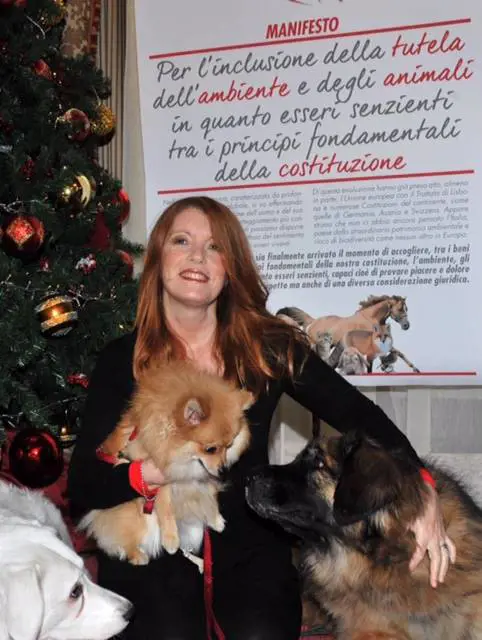 Brambilla: "No a colpi di spugna sugli abusi agli animali"