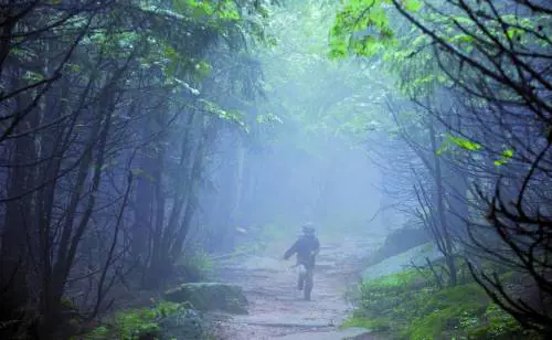 Lo scaffale dei bambini scomparsi