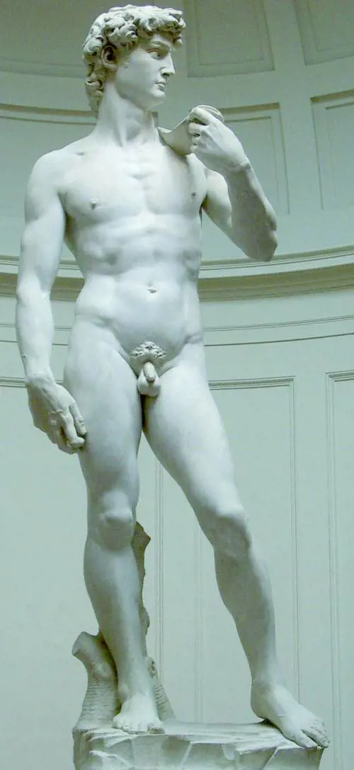 Il David di Michelangelo custodito nella l'Accademia di Firenze
