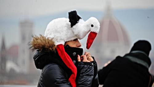 Firenze. La turista, il freddo e il pellicano