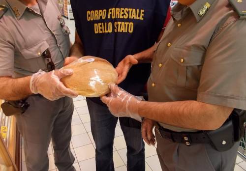 Altro che tagli, in arrivo altri 400 forestali