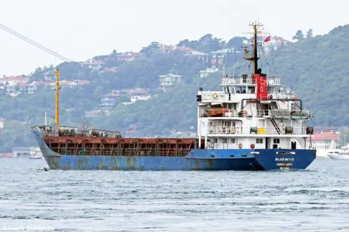 Dal sito www.shipspotting.com/