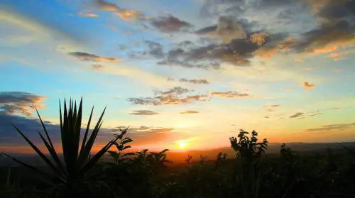 Foreste da vivere nel cuore verde del Costa Rica