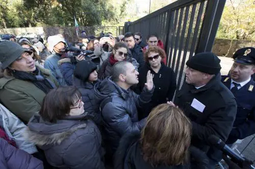 La nipote di Pino Daniele: "Ha sottovalutato il malore"