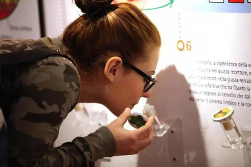 Le nuove frontiere della pubblicità: i clienti vanno presi per il naso