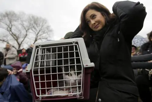 La Boldrini col gatto "Gigibillo" alla Festa degli animali