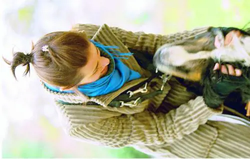 «Per evitare le zuffe cani grandi e piccoli in aree separate»