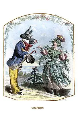 Le persone più ignoranti? Di solito sono coltissime