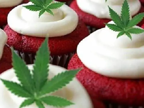 Il buffet è a base di marijuana: scandalo al Comune di Torino