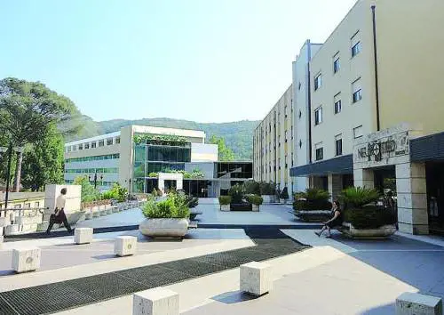 Sfida medica e ricerca scientifica Neuromed è all'avanguardia