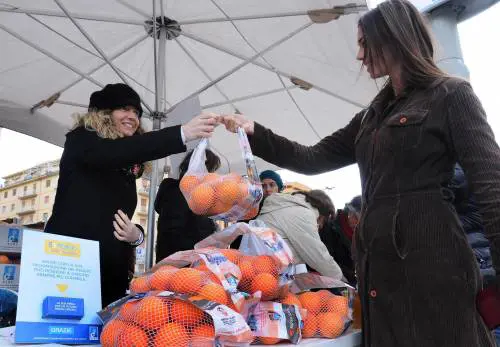 Gli studiosi: c'è una stretta correlazione tra dieta e tumori