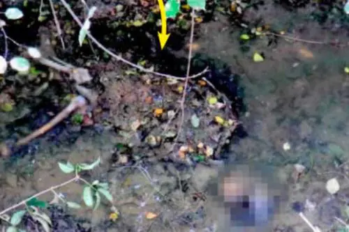 Foto tratta dal settimanale Giallo