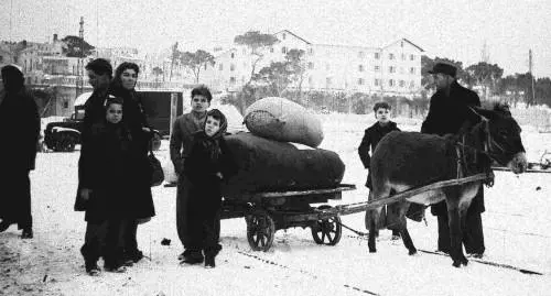 Vite negate, massacri, falsità. Anche la verità fu infoibata